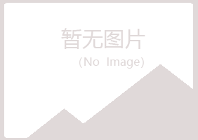 集安盼山化学有限公司